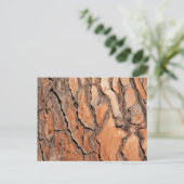Pine Tree Bark Texture Postkarte (Stehend Vorderseite)