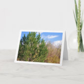 Pine Tree, Blue Sky Portrait Karte (Vorderseite)