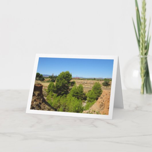 Pine tree Canyon Landscape Karte (Vorderseite)