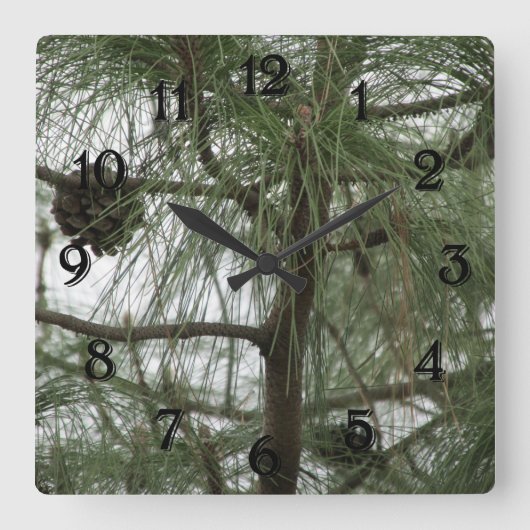 Pine Tree Clock Quadratische Wanduhr (Vorderseite)