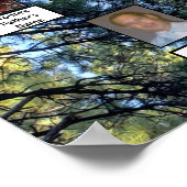 Pine Tree Forest Foto 2 Familienbäume Poster (Ecke)
