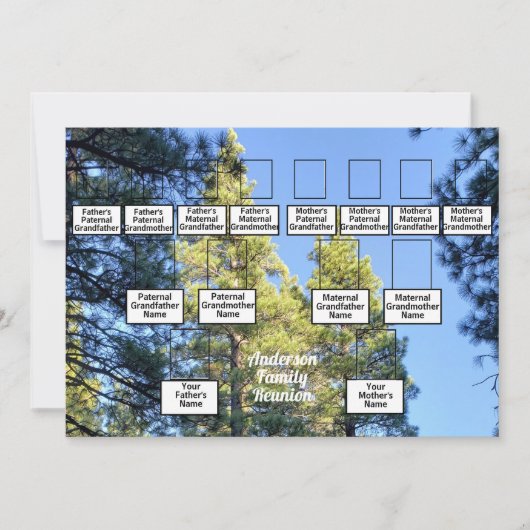 Pine Tree Forest Foto 3 Generation Family Wiederse Einladung (Vorderseite)