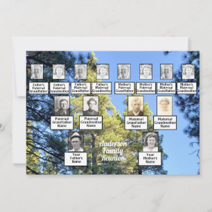 Pine Tree Forest Foto 3 Generation Family Wiederse Einladung