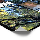 Pine Tree Forest Foto Two Family Trees Poster (Ecke)