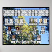 Pine Tree Forest Foto Two Family Trees Poster (Vorne)
