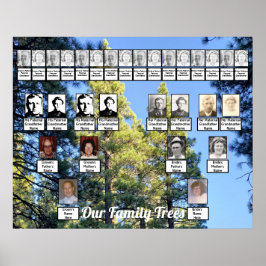Pine Tree Forest Foto zwei Familienbäume Poster