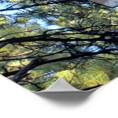 Pine Tree Forest Foto zwei Familienbäume Poster (Ecke)