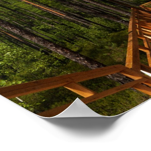 Pine Tree Forest Poster (Ecke)