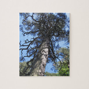 Pine Tree in Blue Sky, Palanga, LITAUEN - Puzzle