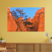 Pine Tree In Hoodoos  Leinwanddruck (Insitu (Wohnzimmer))