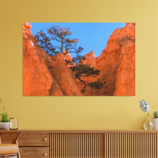 Pine Tree In Hoodoos Leinwanddruck (Insitu (Wohnzimmer))