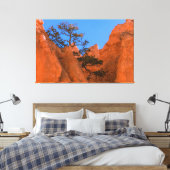 Pine Tree In Hoodoos  Leinwanddruck (Insitu (Schlafzimmer))