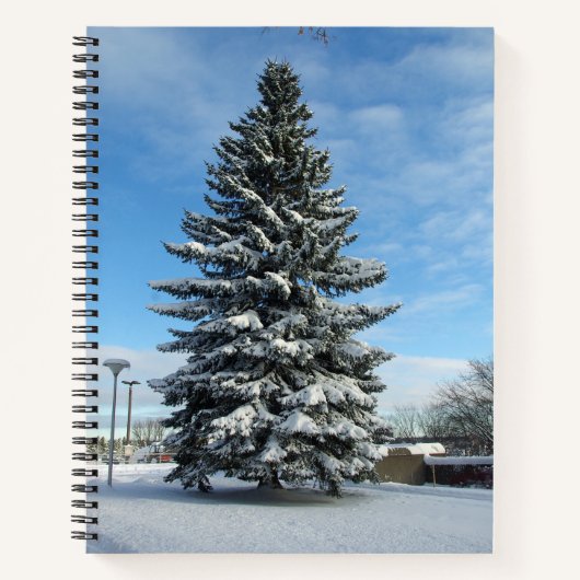 Pine Tree in Snow Notebook Notizblock (Vorderseite)
