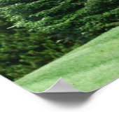 Pine Tree Landschaft Poster (Ecke)