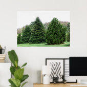 Pine Tree Landschaft Poster (Heimbüro)