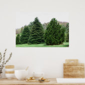 Pine Tree Landschaft Poster (Küche)