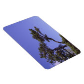Pine Tree Magnet (Rechte Seite)