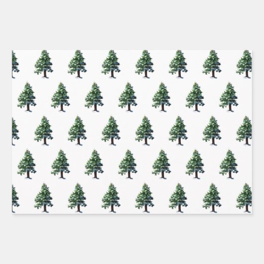 Pine Tree mit Schnee Weihnachts-Weihnachtsmuster Geschenkpapier Set (Vorderseite)