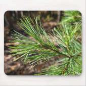 Pine Tree Needles In Sunlight Mousepad (Vorne)