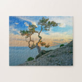 Pine Tree on Rocks Naturscape Landschaft Ozean Son Puzzle (Horizontal)