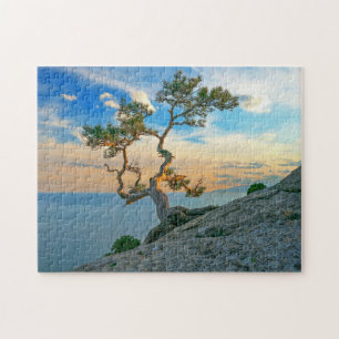 Pine Tree on Rocks Naturscape Landschaft Ozean Son Puzzle