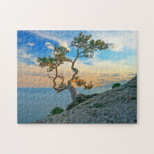 Pine Tree on Rocks Naturscape Landschaft Ozean Son Puzzle (Horizontal)