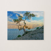 Pine Tree on Rocks Naturscape Landschaft Ozean Son Puzzle (Horizontal)