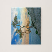 Pine Tree on Rocks Naturscape Landschaft Ozean Son Puzzle (Vertikal)