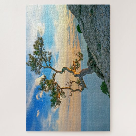 Pine Tree on Rocks Naturscape Landschaft Ozean Son Puzzle (Vertikal)