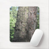 Pine Tree, Palanga Botanical Garden, LITAUEN - Mousepad (Mit Mouse)