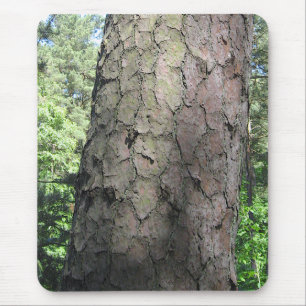 Pine Tree, Palanga Botanical Garden, LITAUEN - Mousepad