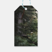 Pine Tree Rustic Forest Woods Gastgeschenk Hochzei Geschenkanhänger (Rückseite)