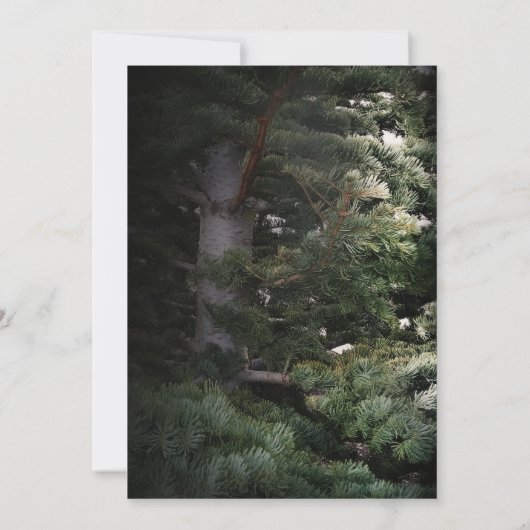 Pine Tree Rustic Forest Woods Hochzeitseinladungen Einladung (Rückseite)