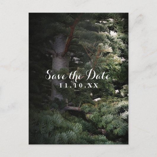 Pine Tree Rustic Forest Woods Save the Date Party Ankündigungspostkarte (Vorderseite)