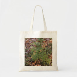 Pine Tree Sapling Photo Canvas Tote Bag Tragetasche