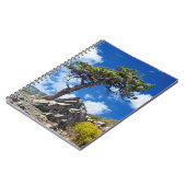 Pine Tree Spiral Notebook Notizblock (Linke Seite)
