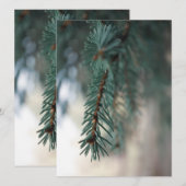 Pine Trees (Vorne/Hinten)