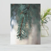 Pine Trees (Stehend Vorderseite)