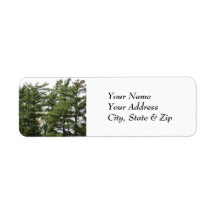 Pine Trees
