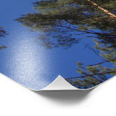 Pine Trees CC0278 Foto Print (27 Zoll, 68 cm) (Ecke)
