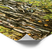 Pine Trees & Dandelions Van Gogh Fine Art Poster (Ecke)