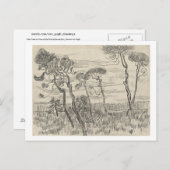 Pine Trees Front of Wall Asylum, Vincent van Gogh Postkarte (Vorne/Hinten)