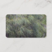 Pine Trees Needles Visitenkarte (Rückseite)