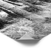 Pine Trees Poster (Ecke)