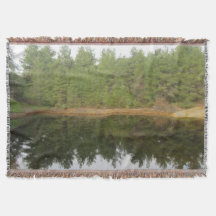 Pine Treflection Lake