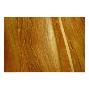 Pine Wood II Imitate Holzgewebe Fotodruck