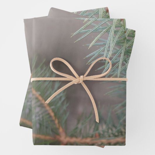 Pine Wrapping Paper Flat Sheet Set 3 Geschenkpapier Set (Beispiel)