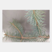 Pine Wrapping Paper Flat Sheet Set 3 Geschenkpapier Set (Vorderseite)
