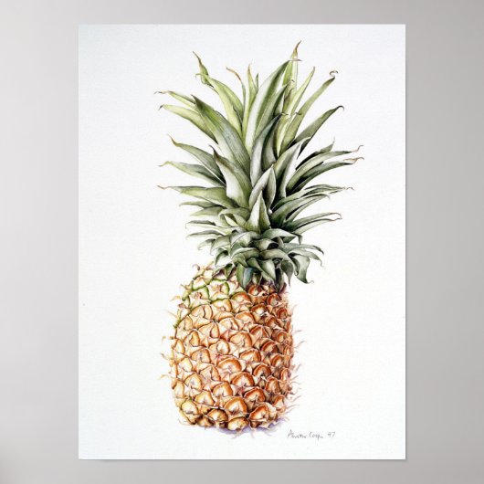 Pineapple 1997 poster (Vorne)