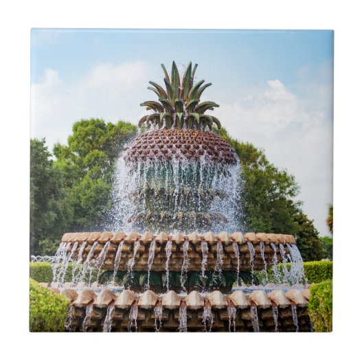 Pineapple Fountain in Charleston, Fliese (Vorderseite)